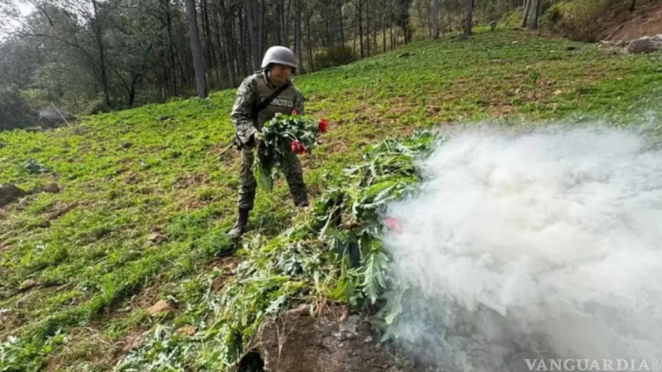 EH_UNA_FOTO_2025_03_17_T134113_429_73857544bb