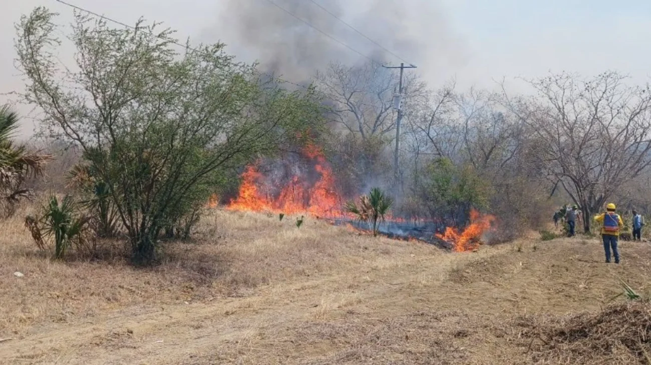 EH_UNA_FOTO_2025_03_17_T145451_610_795d5215b8