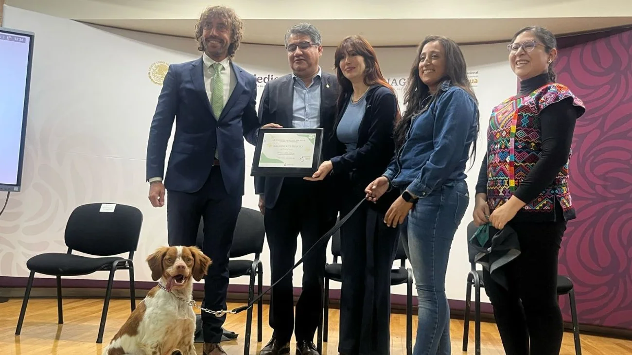 EH_UNA_FOTO_2025_06_24_T174720_777_5bec00db2d