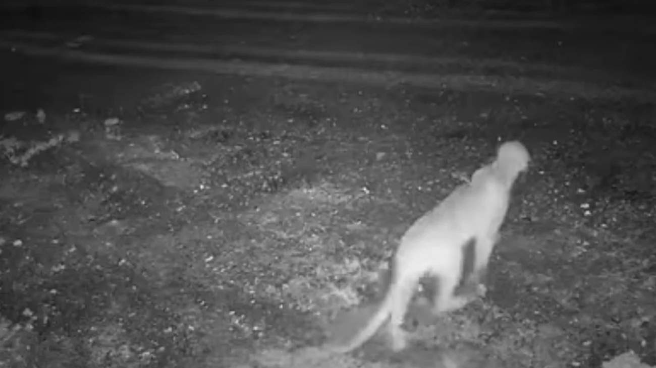 EH_UNA_FOTO_2025_06_30_T143548_034_df9d710d46