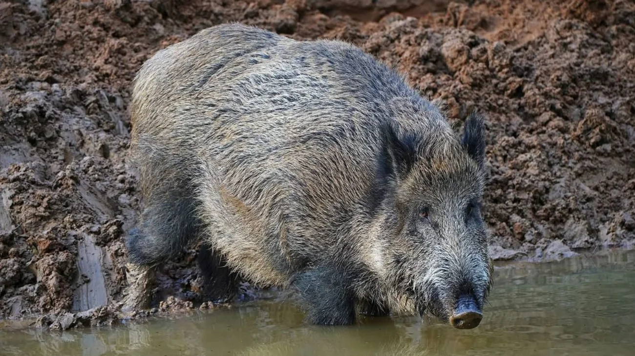 EH_UNA_FOTO_2025_07_10_T191302_770_12ca3fc89e