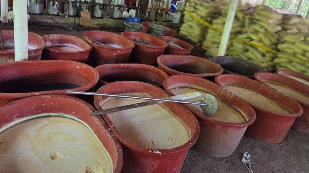 EH_UNA_FOTO_2025_08_09_T130632_445_b94a9b49cb