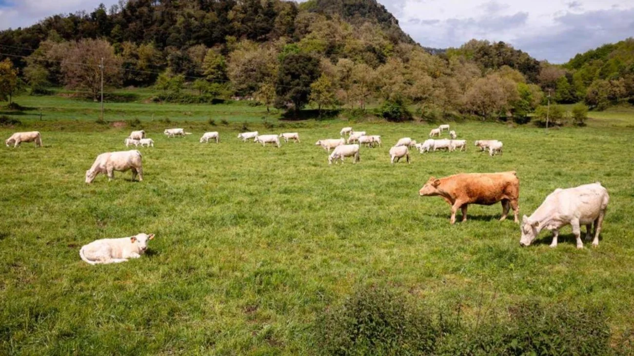 EH_UNA_FOTO_2025_08_11_T172912_214_c8d04ba3a3