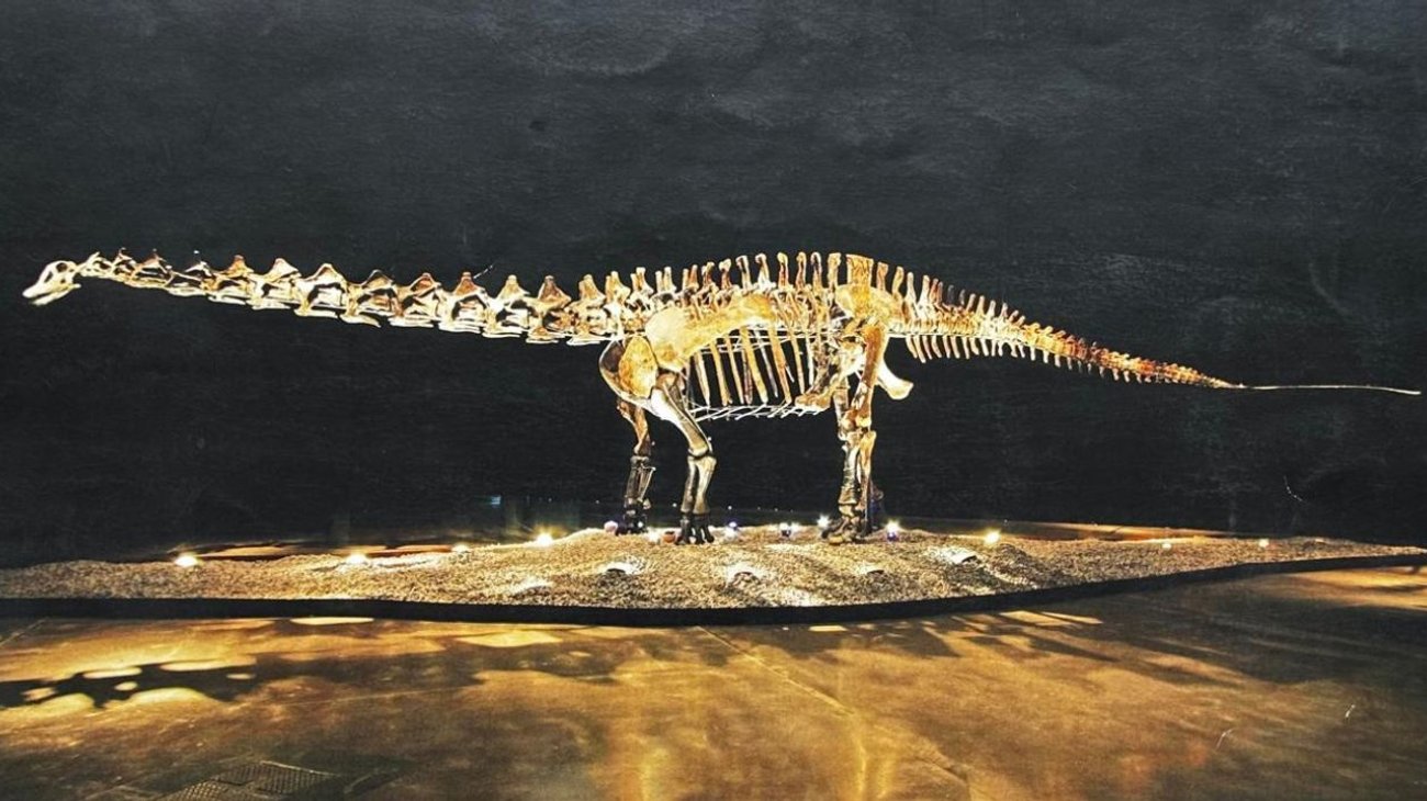 Mauricio Fernández dona a “Einstein” a San Pedro 