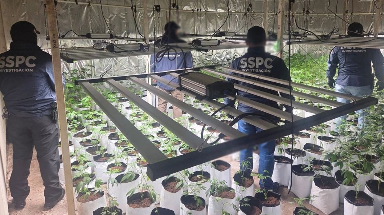 EH_UNA_FOTO_2025_09_14_T131759_676_ef5b221c1e