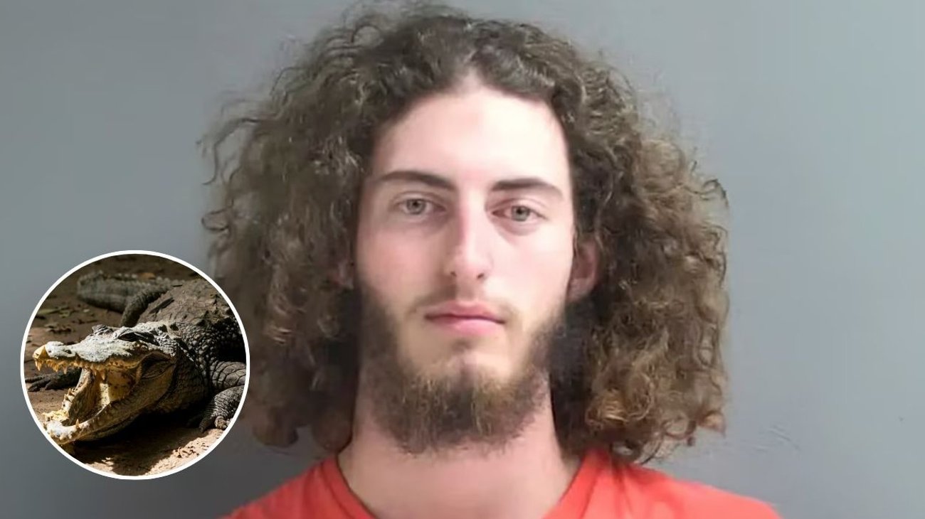 Arrestan a joven en EUA por matar 13 caimanes y subirlo a redes
