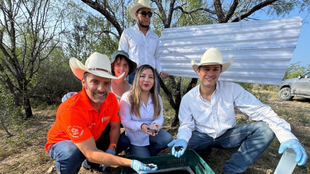 Refuerzan acciones en contra del gusano barrenador en NL