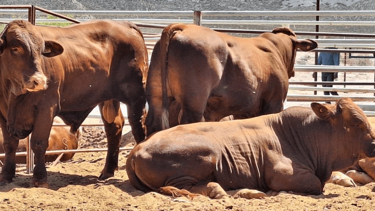 EH_UNA_FOTO_2025_10_02_T144625_139_3a58a382bb