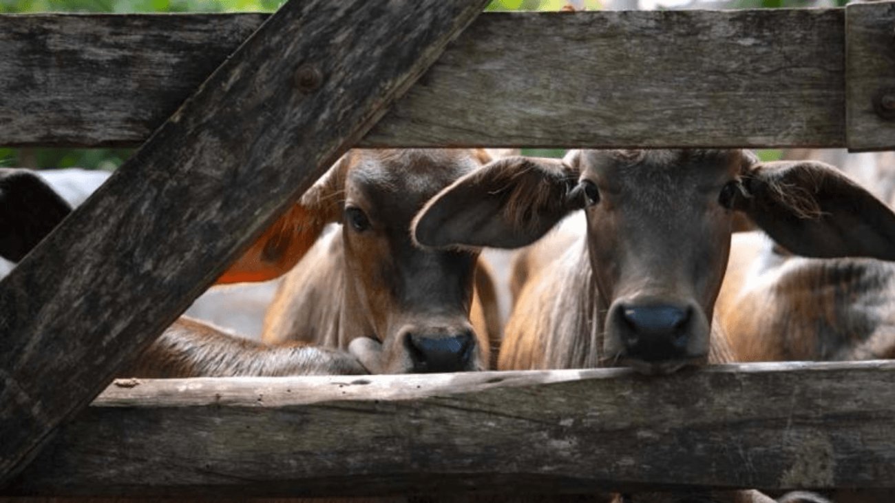 EH_UNA_FOTO_2025_10_06_T142117_186_a883ad144f