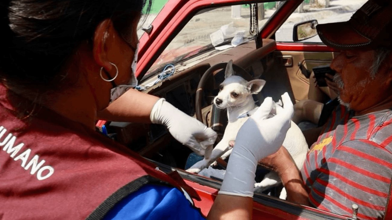 EH_UNA_FOTO_2025_10_17_T104223_421_2dffcb4a6d