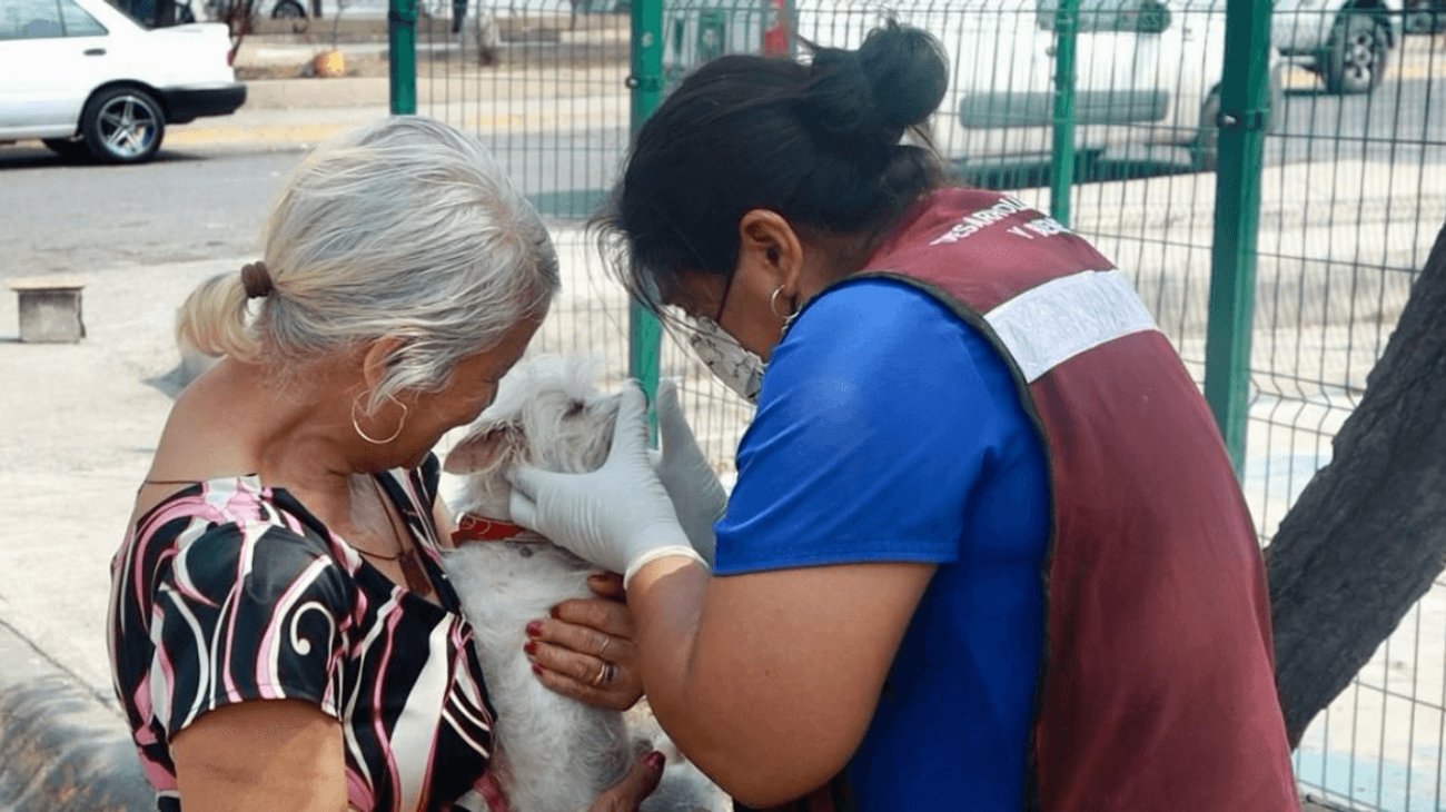 Despliegan brigadas de servicios veterinarios en Santa Catarina