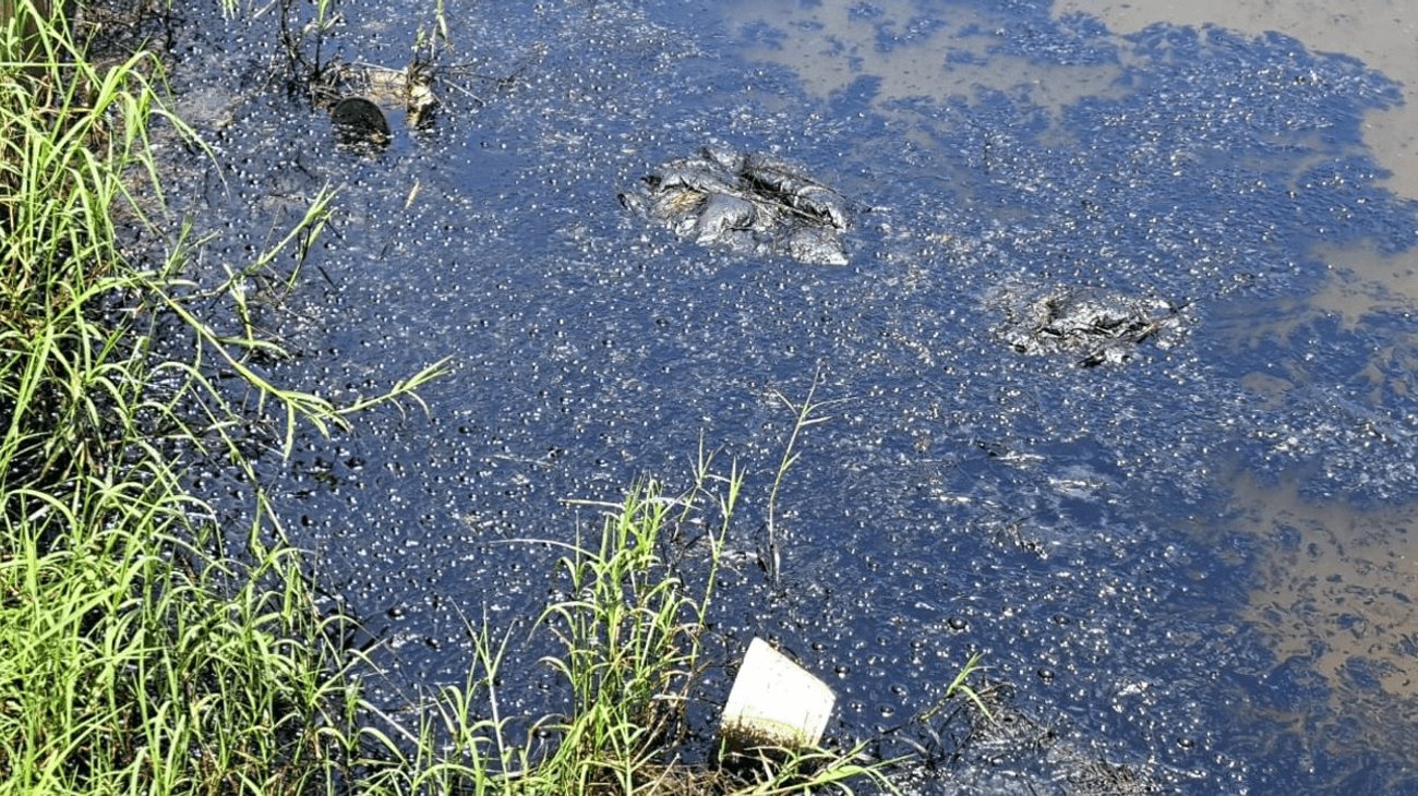 Suman al menos ocho derrames de hidrocarburos en Altamira