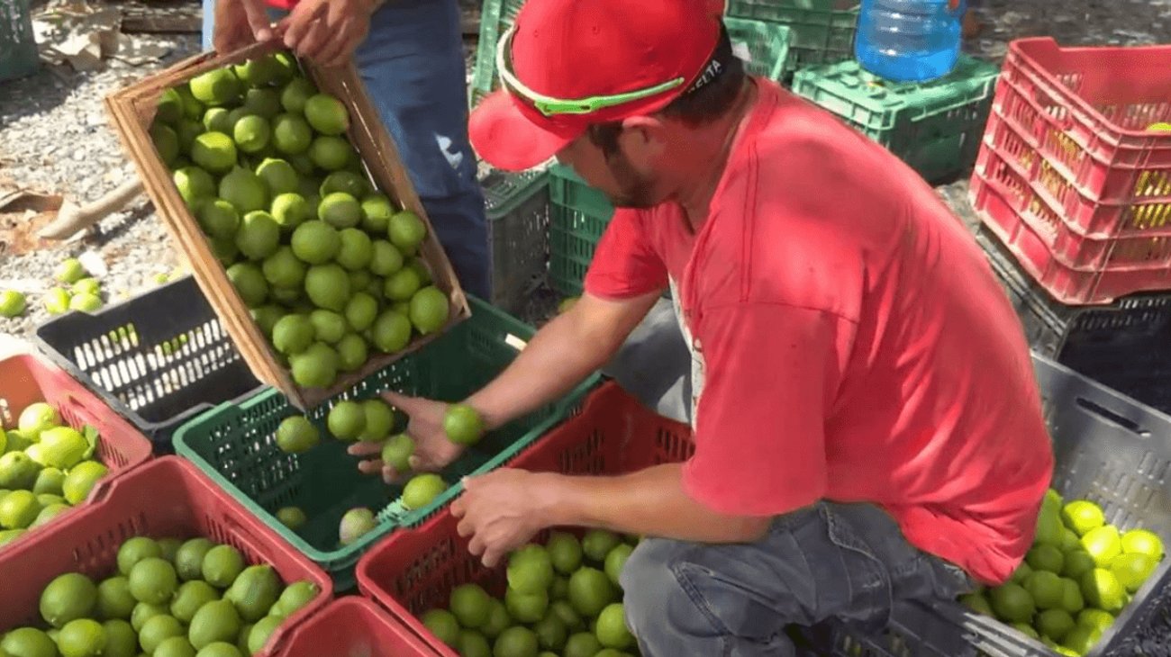 EH_UNA_FOTO_2025_10_24_T092317_933_c1e73cddbb