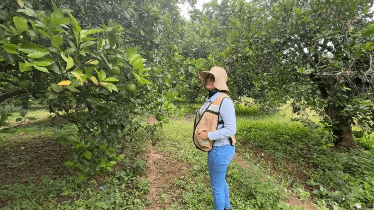 EH_UNA_FOTO_2025_11_07_T114739_416_25170baa77