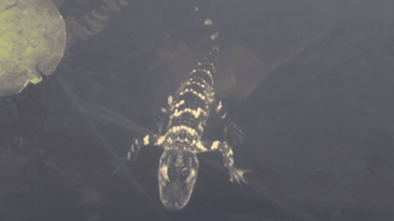 EH_UNA_FOTO_2025_11_13_T151129_628_2535019c30