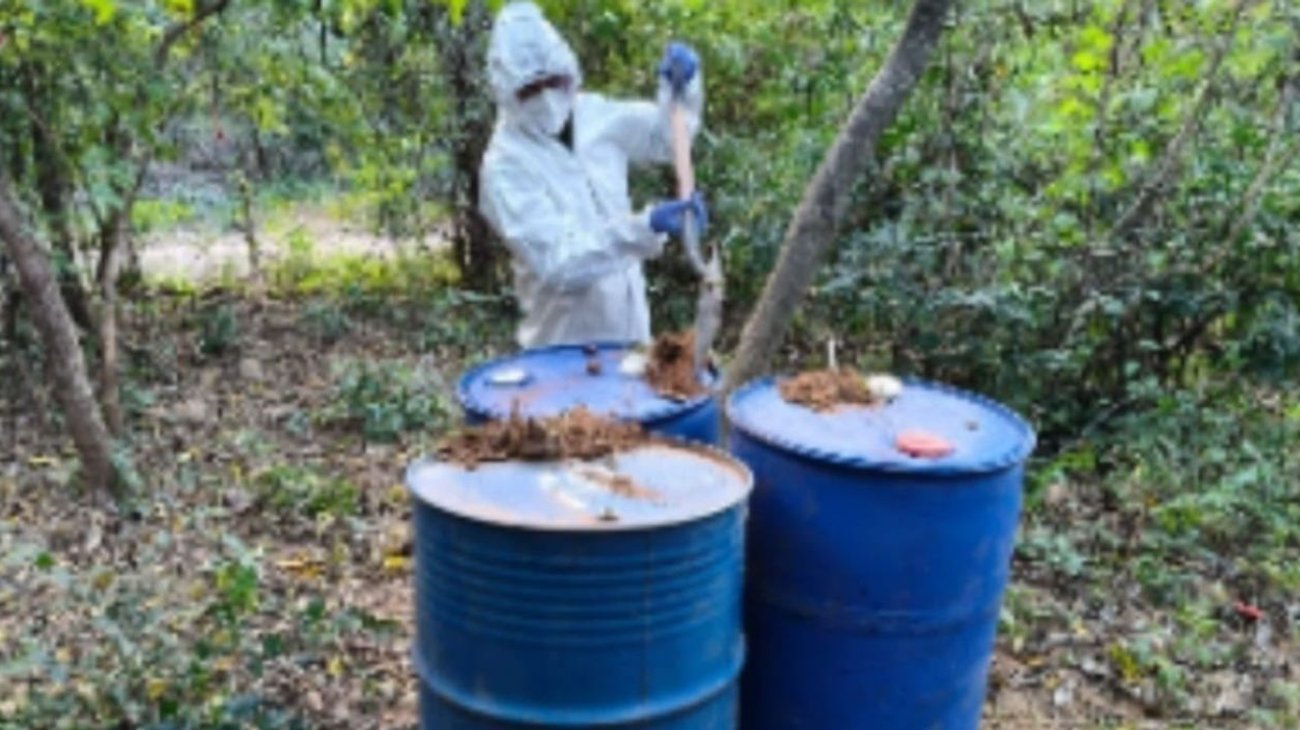 EH_UNA_FOTO_2025_11_15_T155244_092_426a61ff19