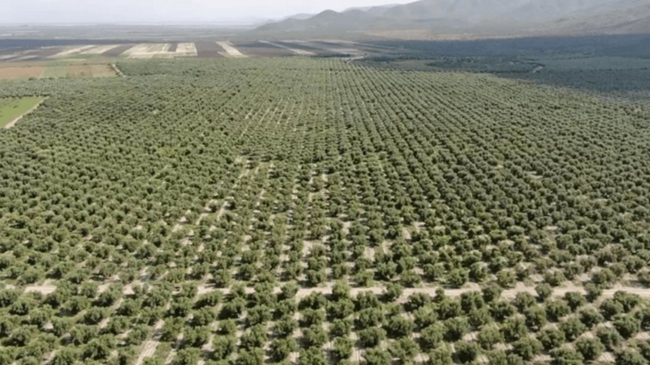 EH_UNA_FOTO_2025_11_29_T065205_282_12d74579e2