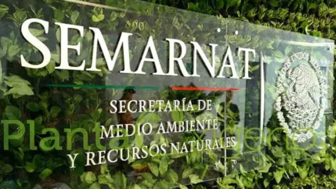 EH_UNA_FOTO_2025_12_06_T101423_399_9fc56f6735