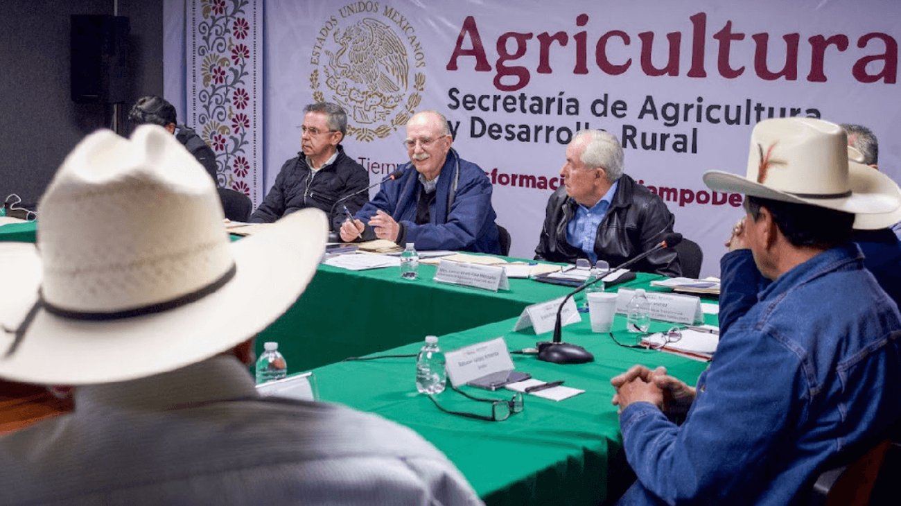 EH_UNA_FOTO_2025_12_18_T085951_765_e827f802ce