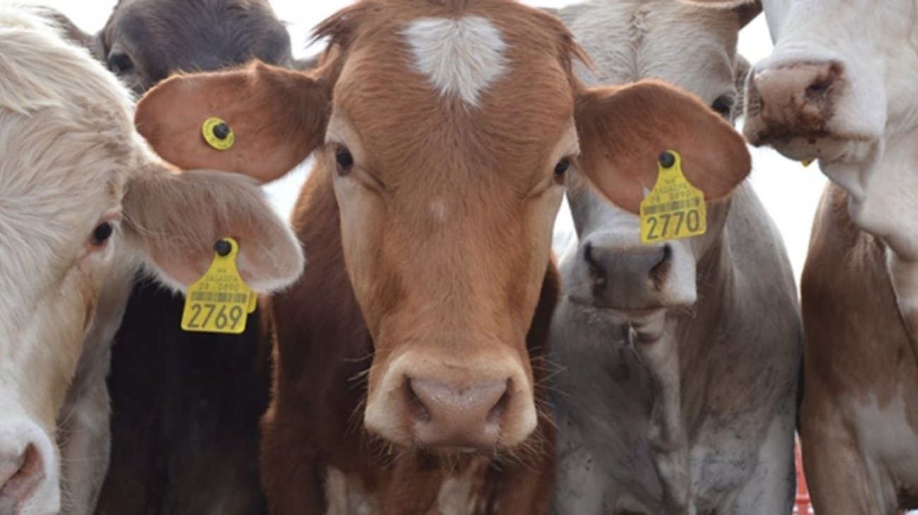 EH_UNA_FOTO_2026_01_10_T093327_757_f489982b9d