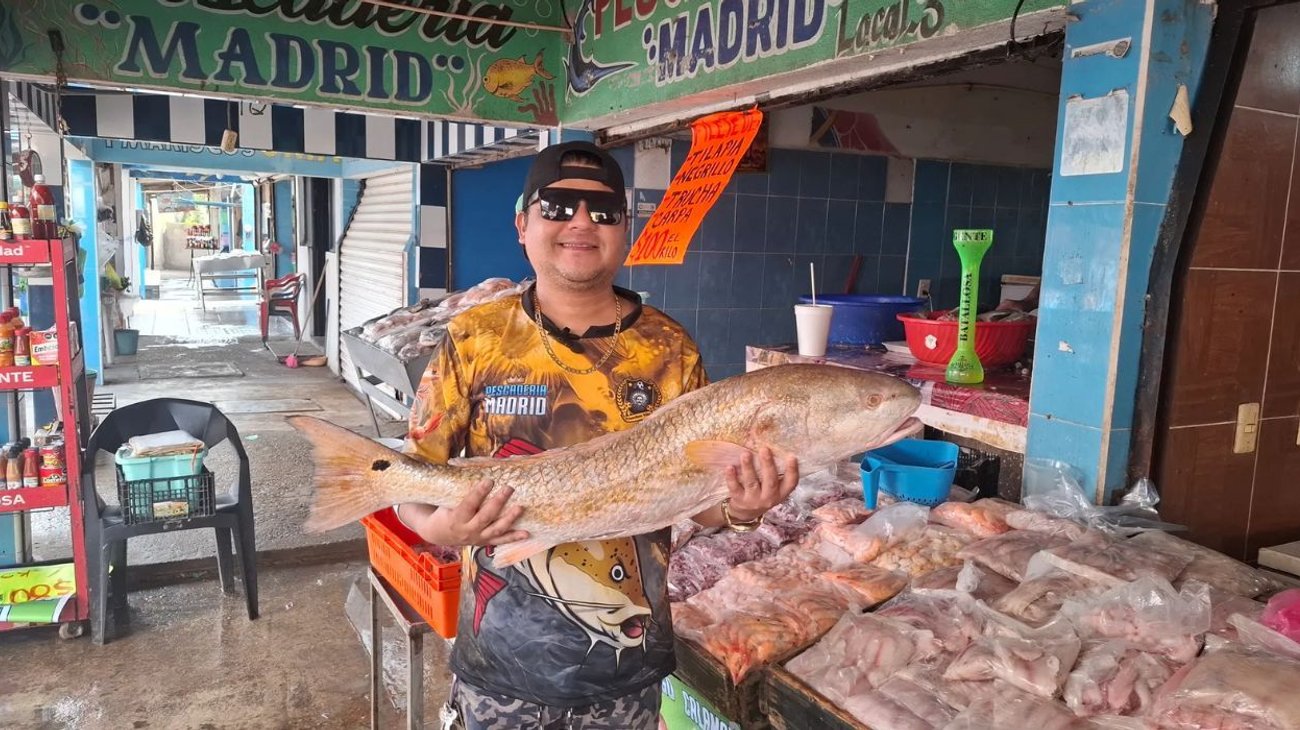 Suben ventas de mariscos al iniciar Cuaresma: escasez preocupa