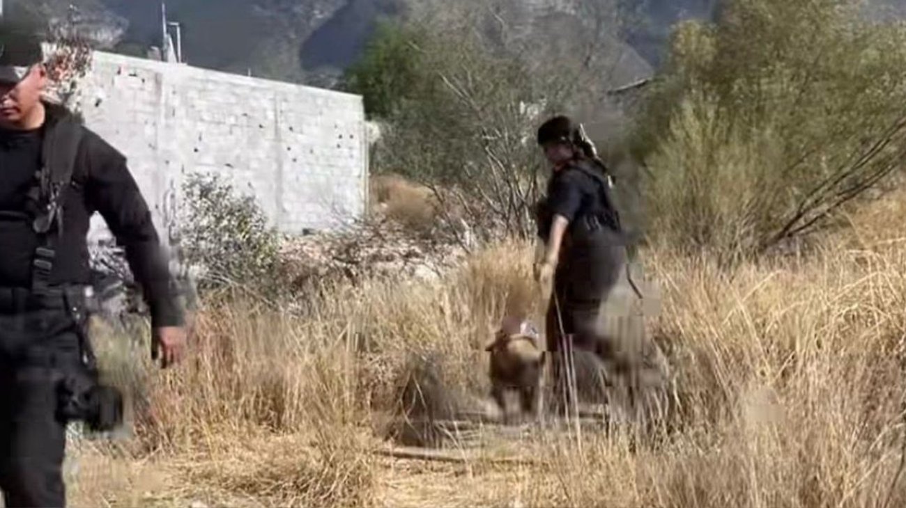 Buscan identificar a mujer hallada muerta en lote de Saltillo