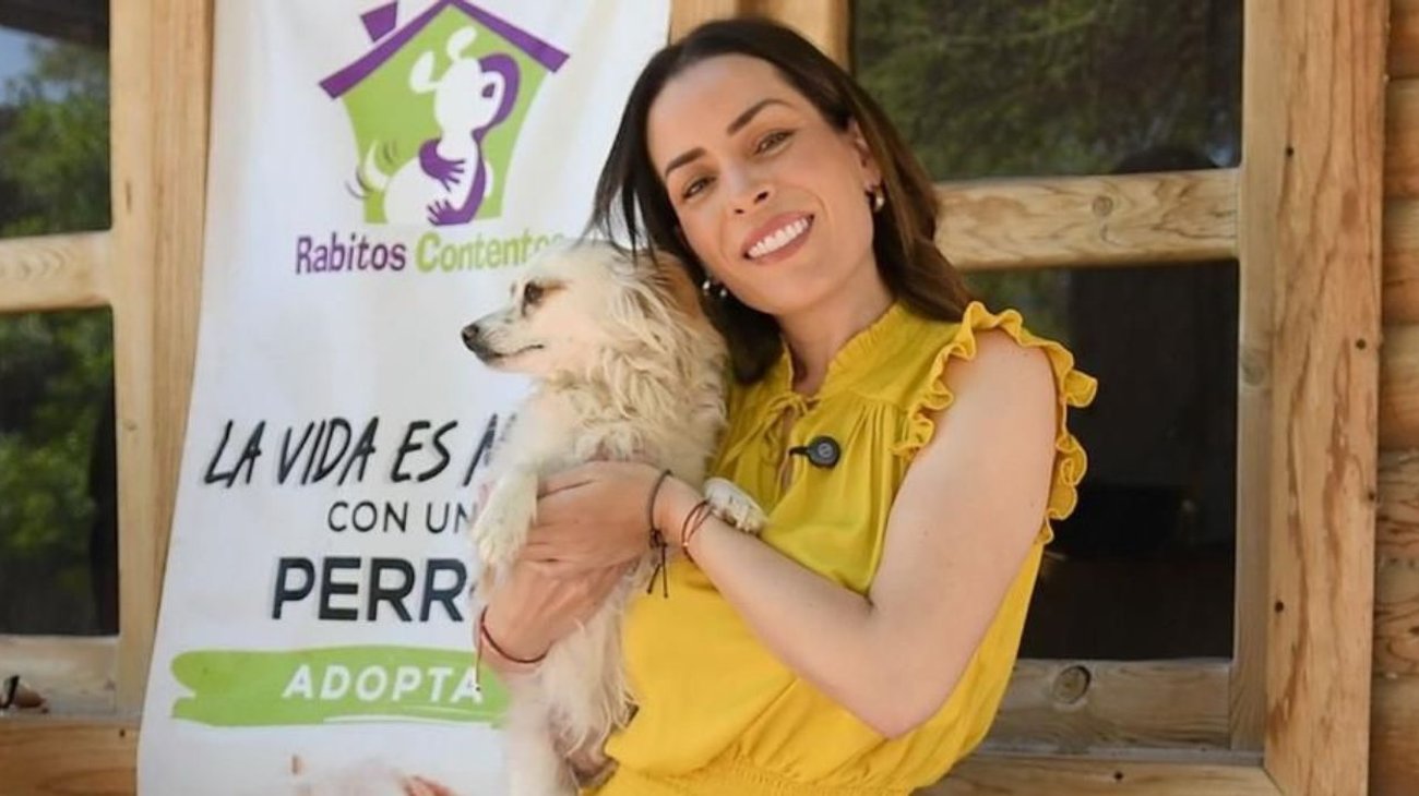 Busca 'Croquetón' apoyar a animales vulnerables en Torreón