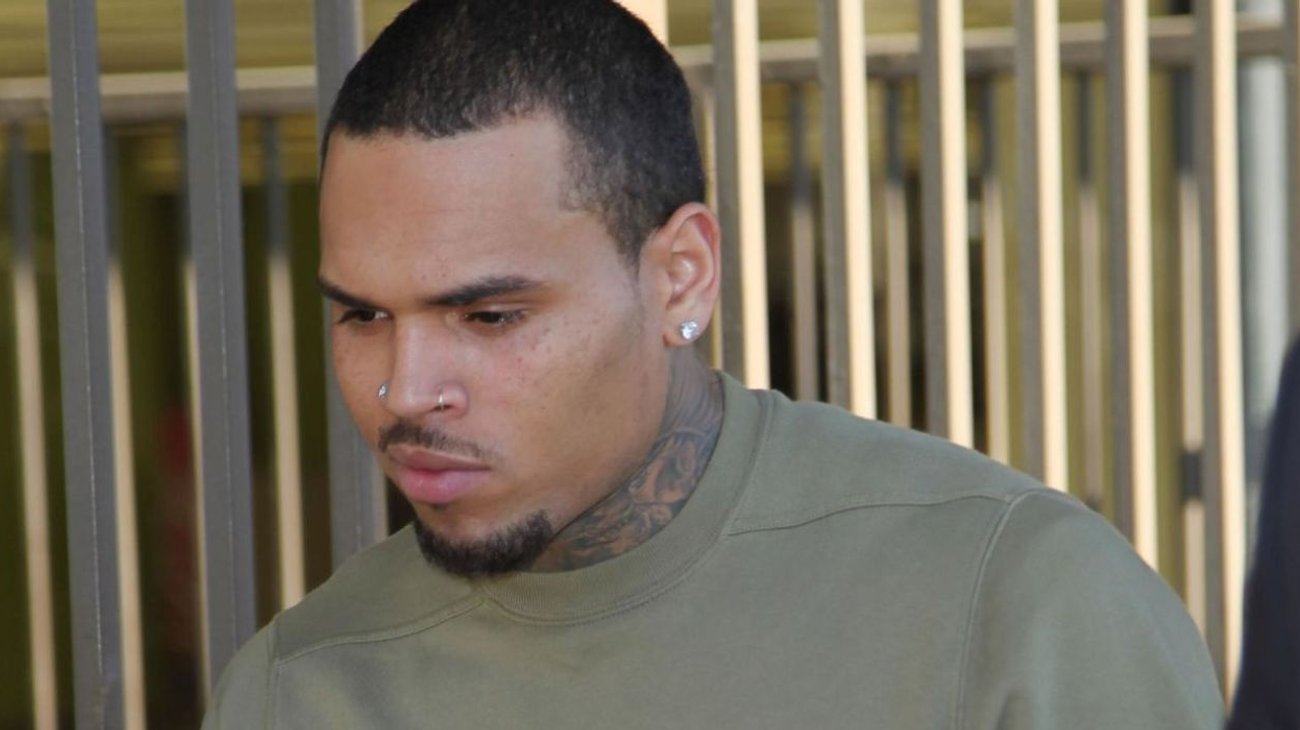 Condenan a Chris Brown a pagar US$13 millones por ataque canino