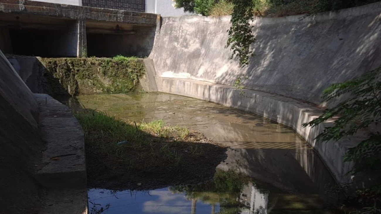 EH_UNA_FOTO_29976c5269