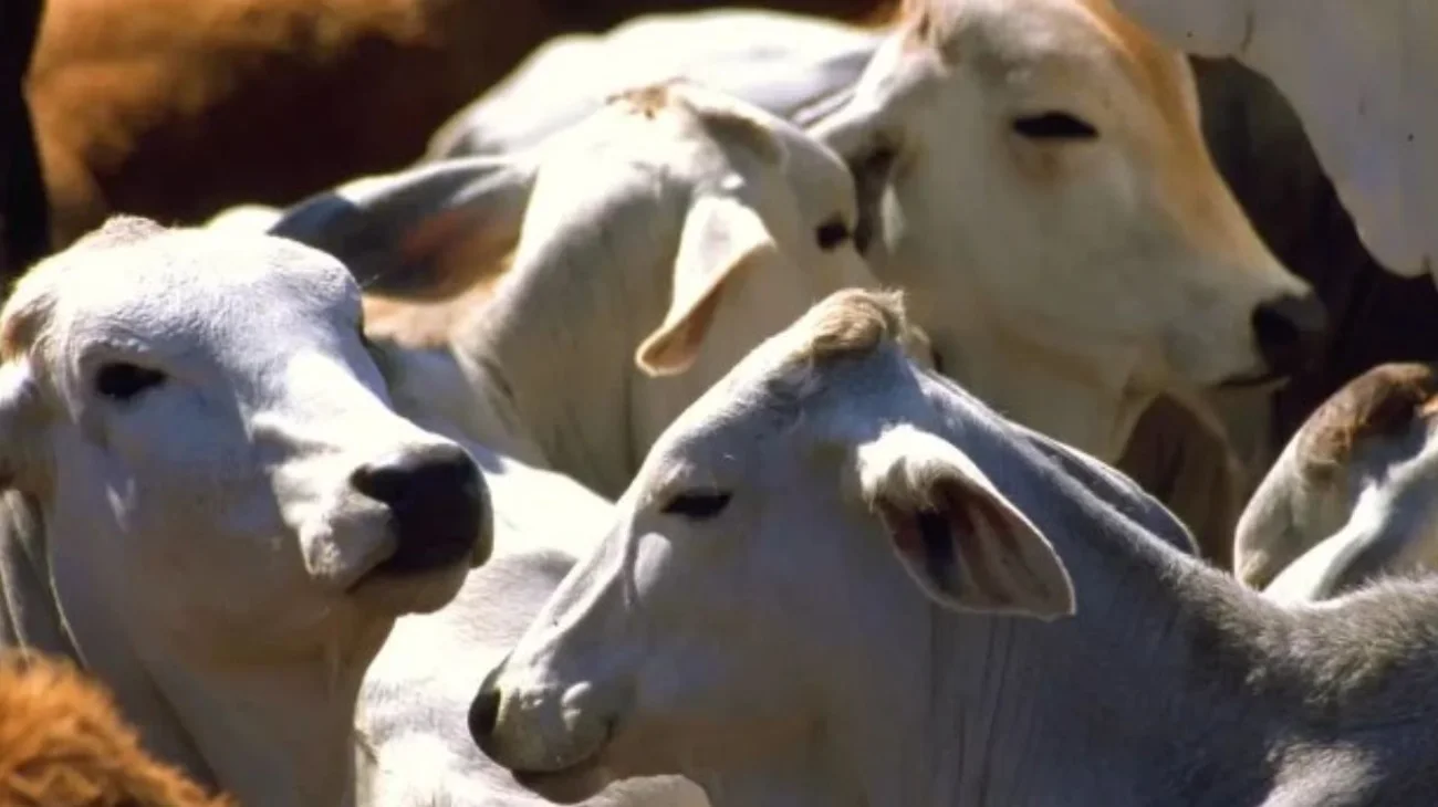 EH_UNA_FOTO_2_1ae3edd5da