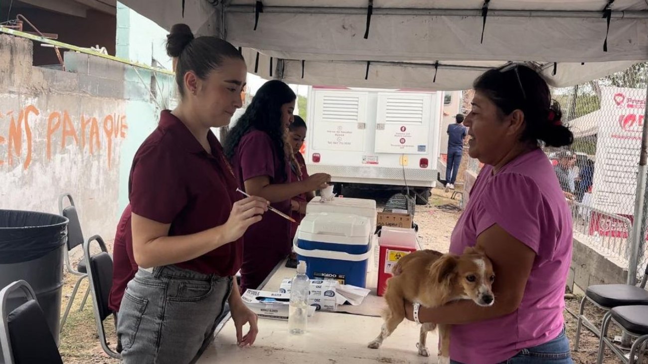 Atienden a cientos de perros y gatos con medicina preventiva