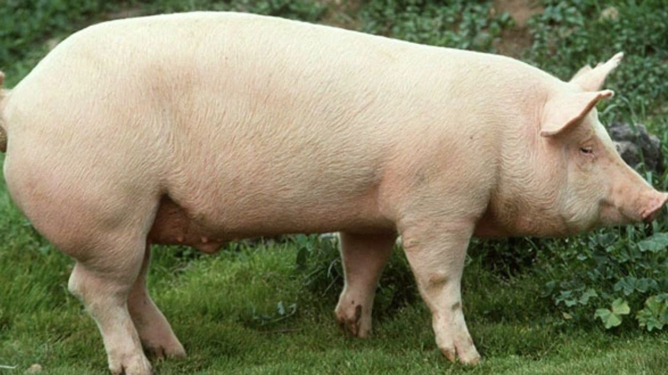 EH_UNA_FOTO_36_07990b4633