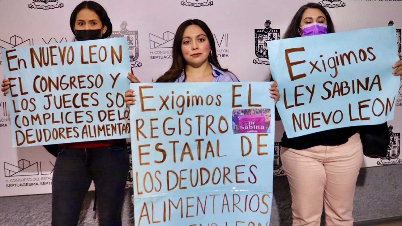 Piden acelerar la creación del Registro de Deudores Alimentarios 