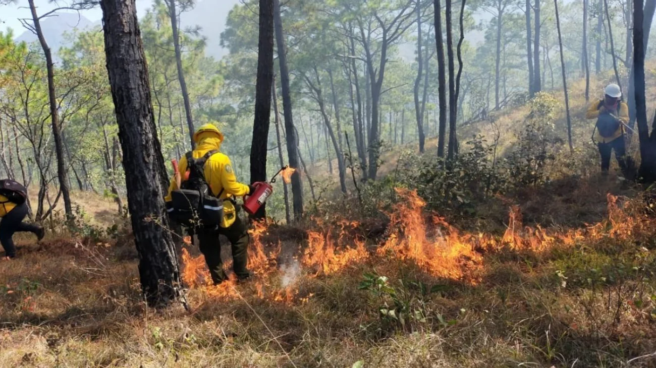 Tamaulipas no está listo para incendios máximos