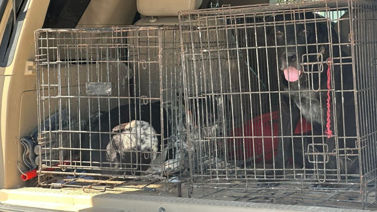 EH_UNA_FOTO_45d18ae6a8