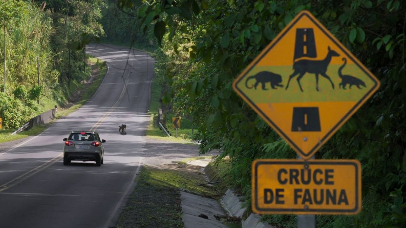 EH_UNA_FOTO_578088dbb8