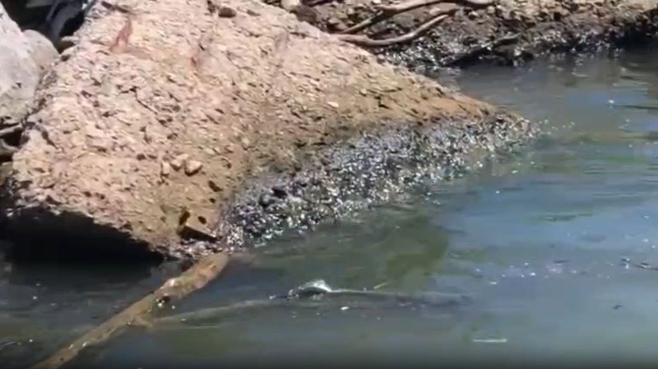 Reportan nuevo derrame de hidrocarburo en el río Pánuco