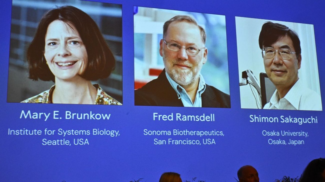 EH_UNA_FOTO_616865c409