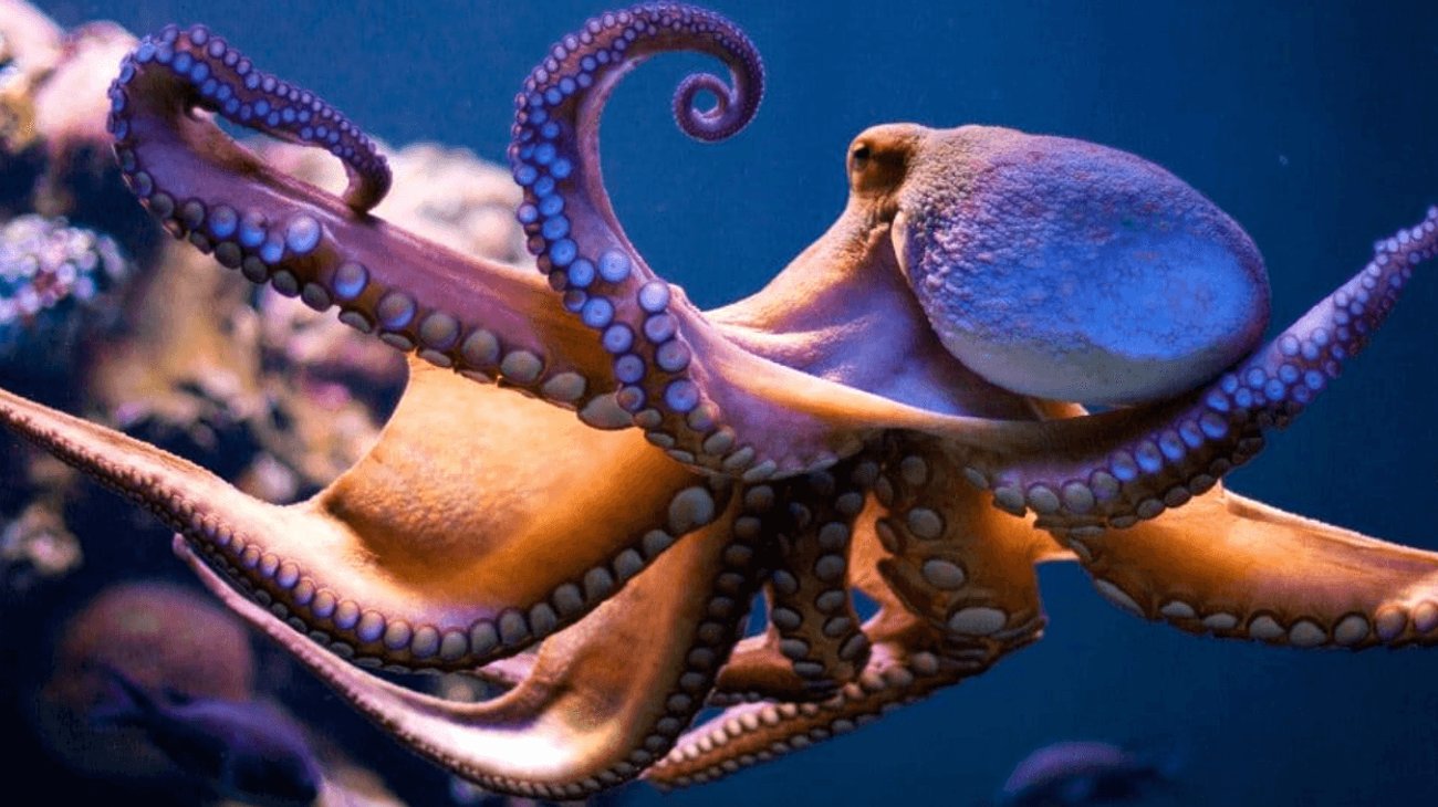 EH_UNA_FOTO_63_6f2af91de8