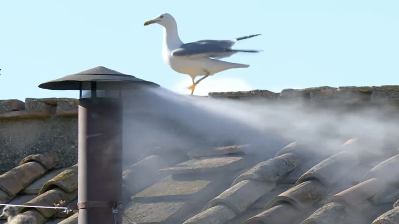 EH_UNA_FOTO_67f09566c1