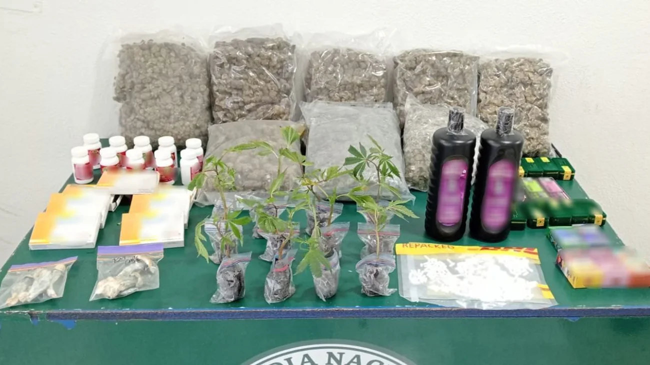 Decomisan cargamento de drogas y alucinógenos en Querétaro