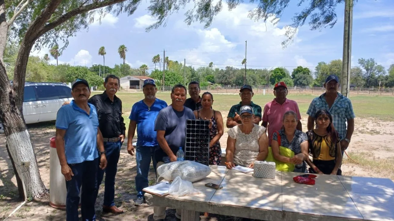 Arranca siembra de cempasúchil en la Ribereña con Huertos