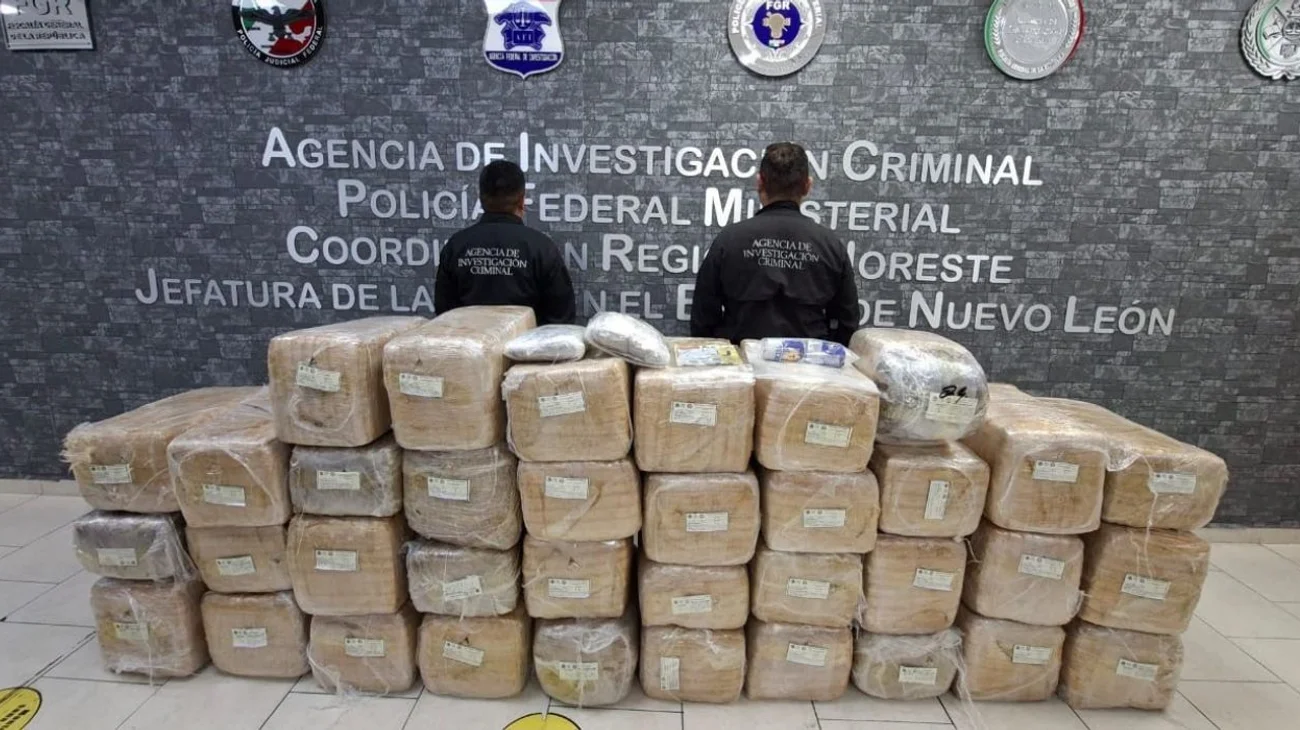 Asegura FGR más de 350 kilos de marihuana en cateo en Apodaca