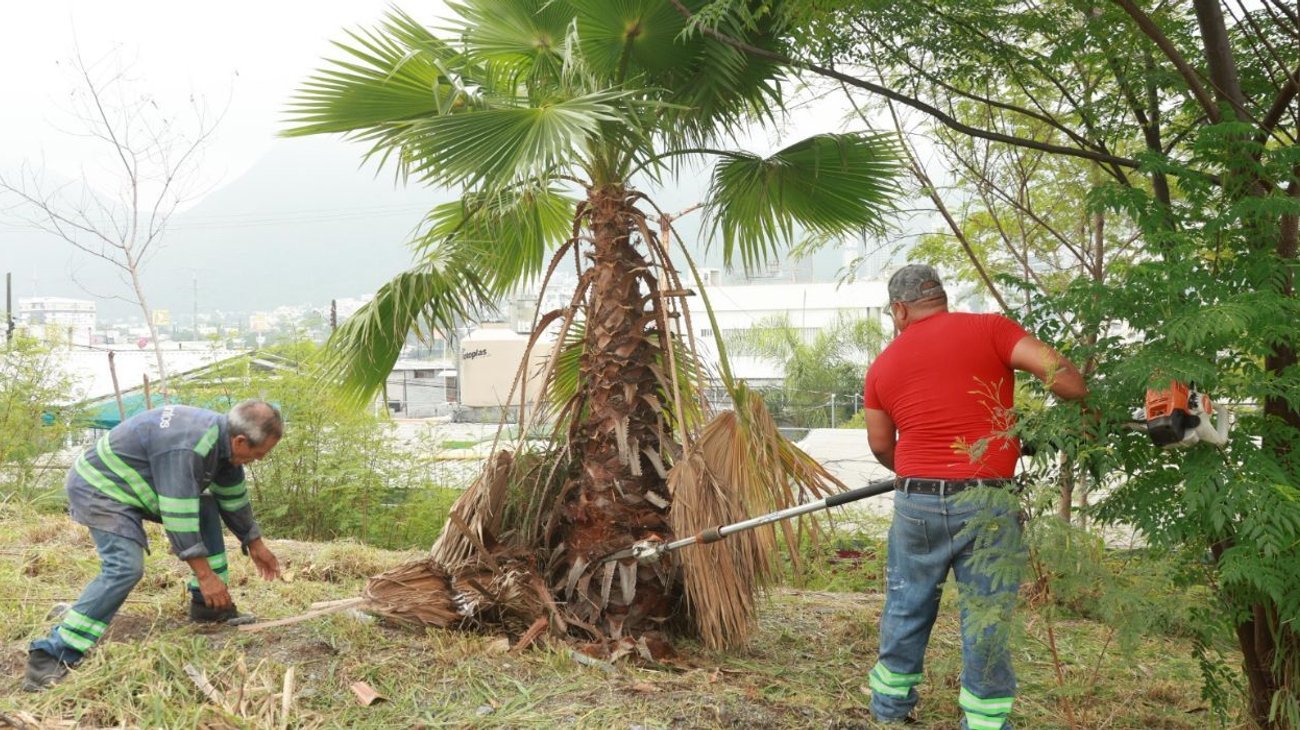 Realiza Monterrey operativo de limpieza en escuelas