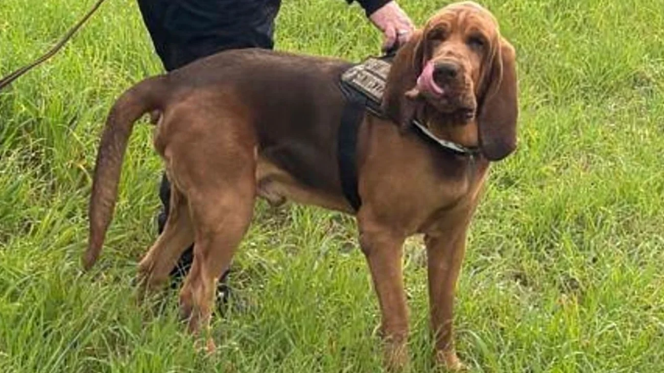 EH_UNA_FOTO_bc7770f937