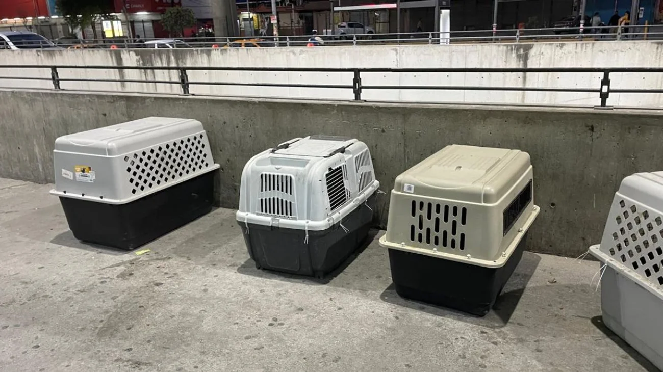 EH_UNA_FOTO_c352dd53d1