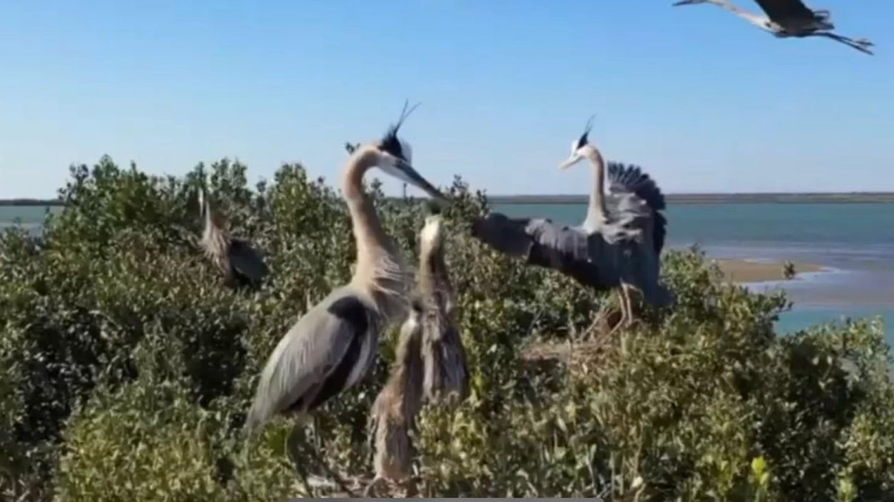 EH_UNA_FOTO_e21473d1f1