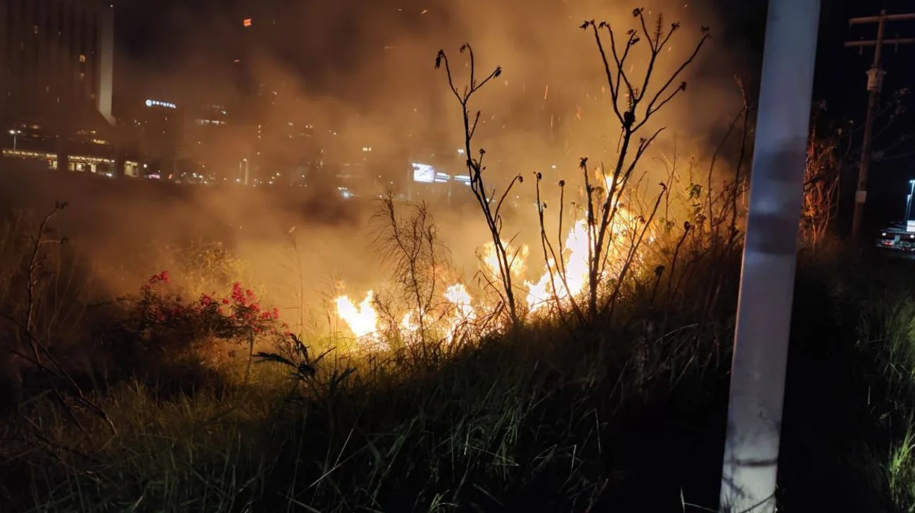 EH_UNA_FOTO_f1a60494db