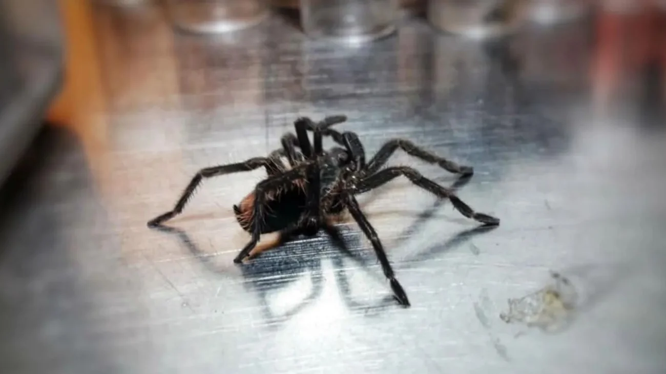 EH_UNA_FOTO_ffd3eae1c4