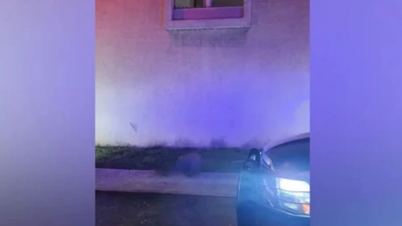 Fiscalía concluye que muerte de hombre en motel fue accidental